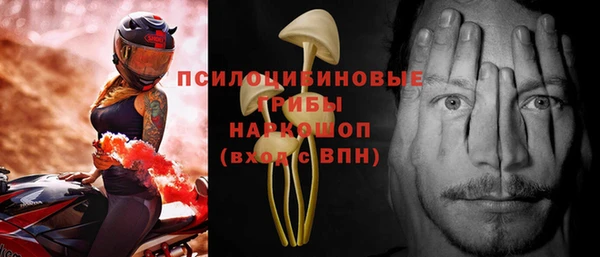 стаф Вязьма