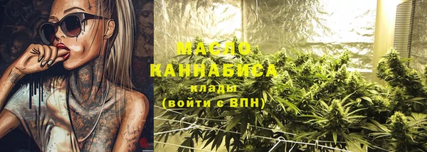 стаф Вязьма