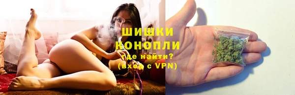 стаф Вязьма