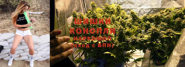 скорость Вяземский