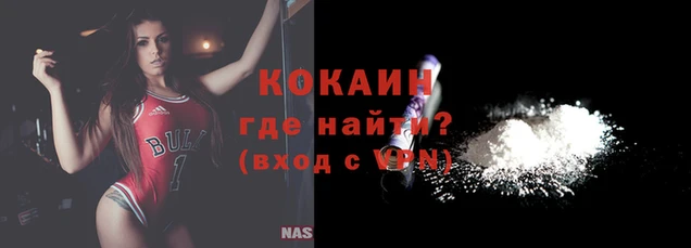 стаф Вязьма