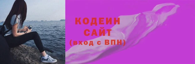 стаф Вязьма