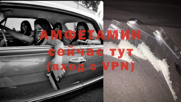 стаф Вязьма