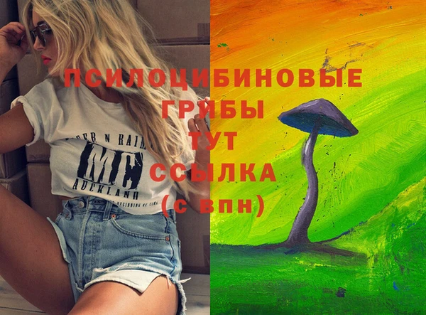 стаф Вязьма