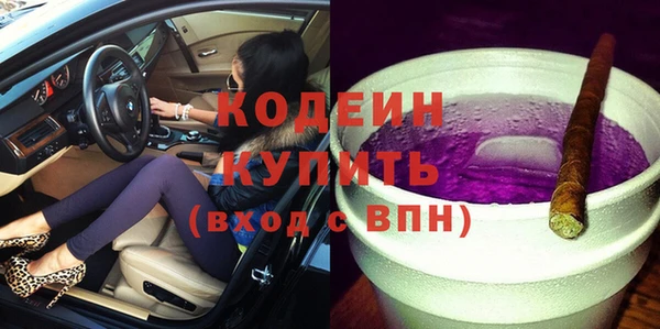 стаф Вязьма