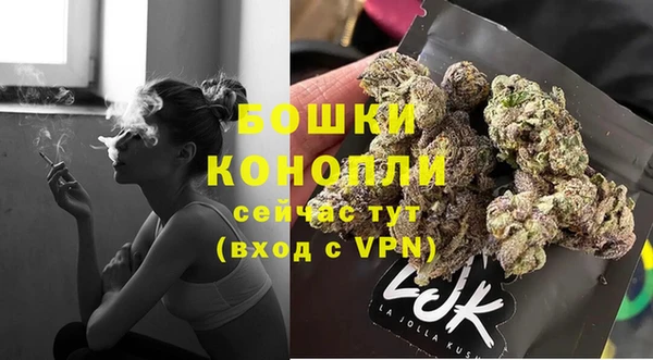 стаф Вязьма
