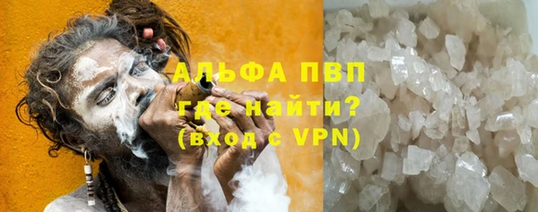 скорость Вяземский