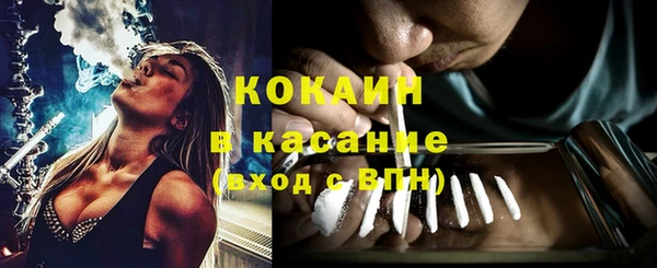 стаф Вязьма