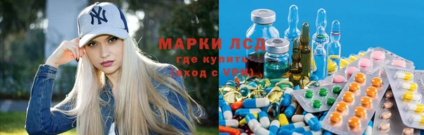 скорость Вяземский