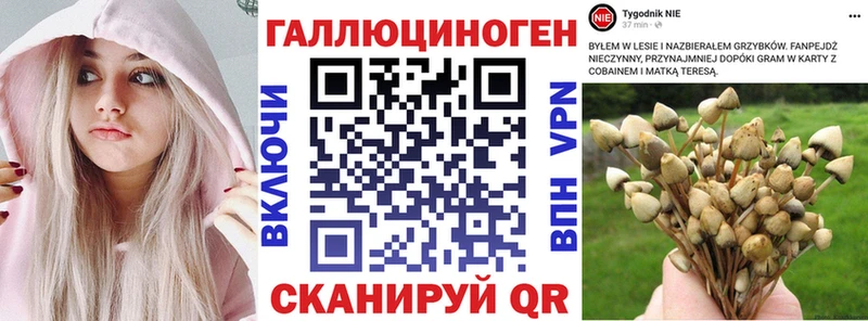 как найти наркотики  mega как войти  Псилоцибиновые грибы GOLDEN TEACHER  Озёры 